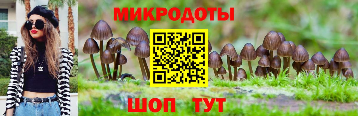 Шелехов  Галлюциногенные грибы Cubensis  наркота  Вход с VPN 